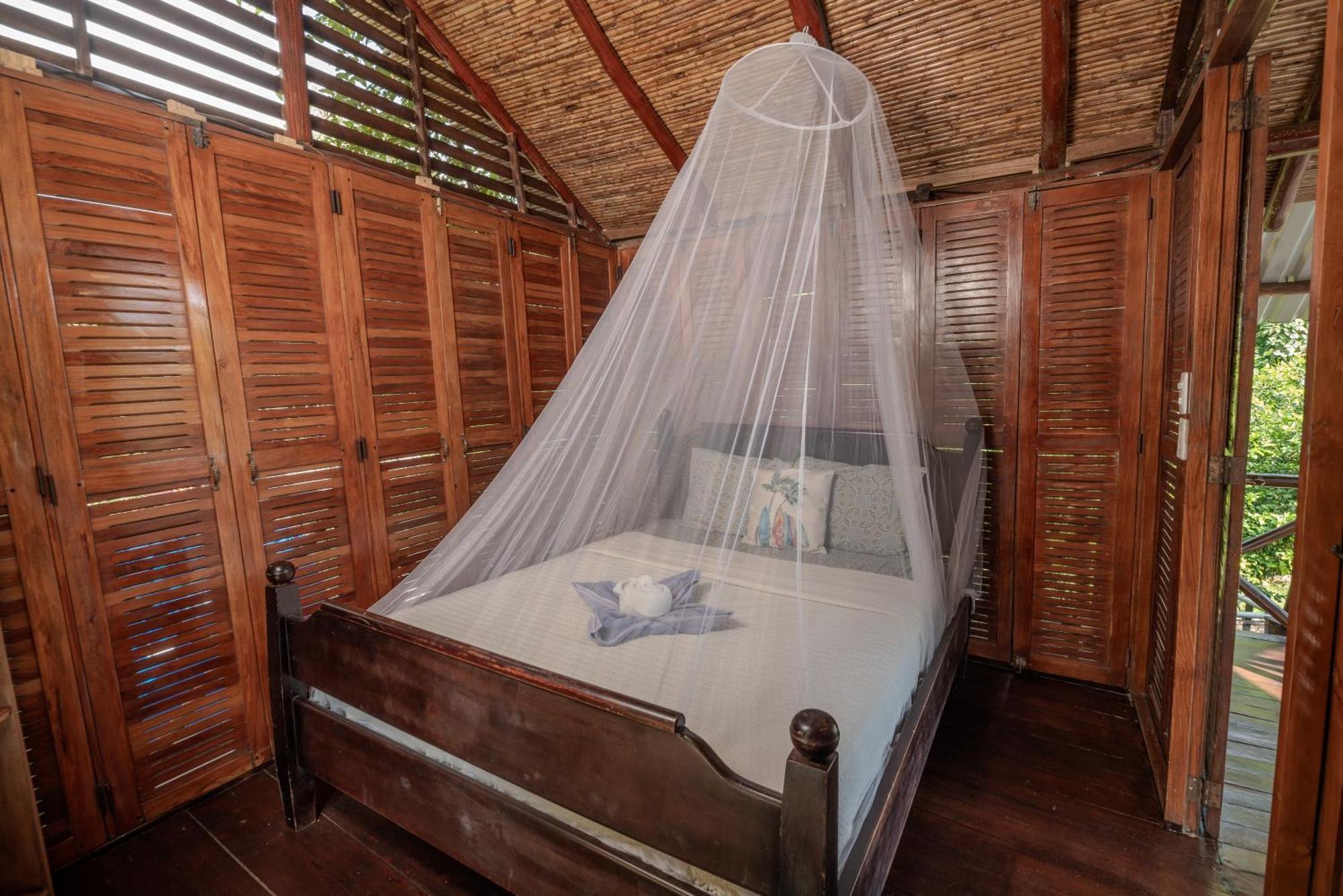 Hostel Surf Camp