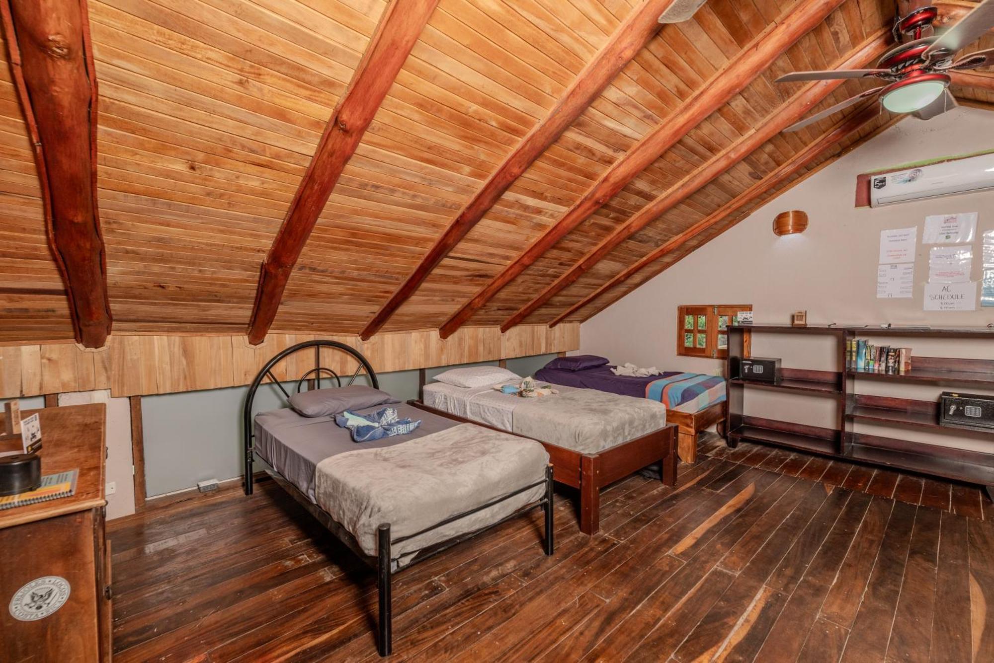 Surf Camp Hostel