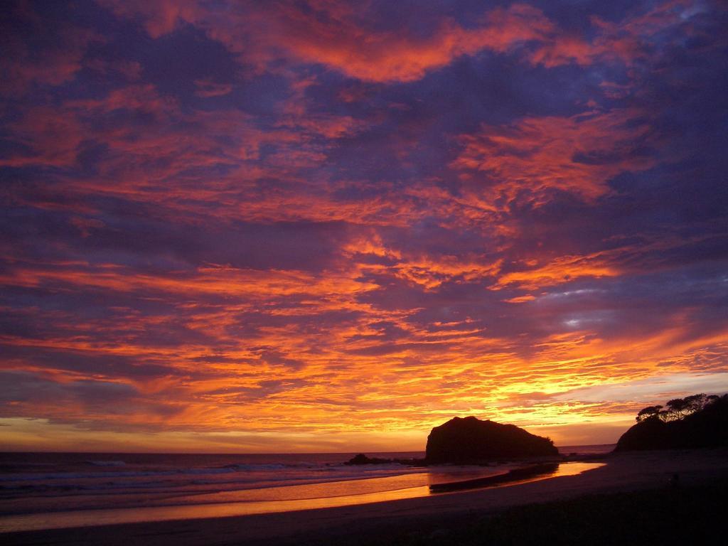 Hostel Surf Camp Playa Grande